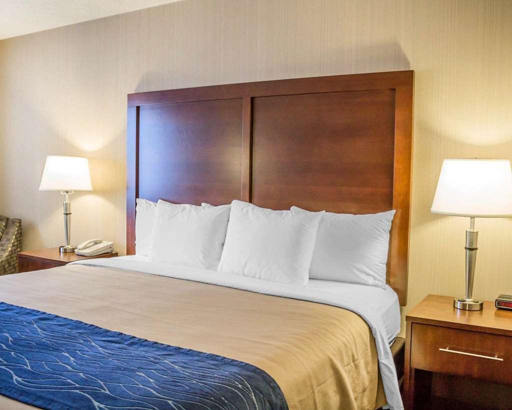Comfort Inn Iron Mountain Quarto foto