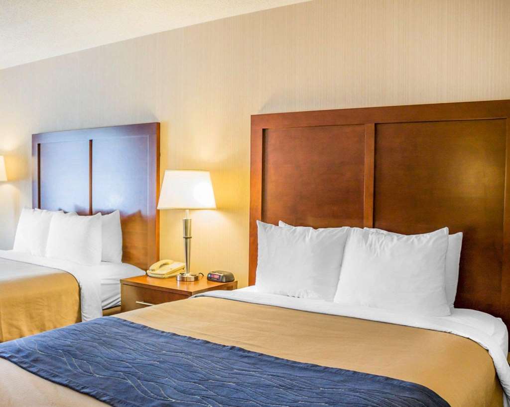 Comfort Inn Iron Mountain Quarto foto
