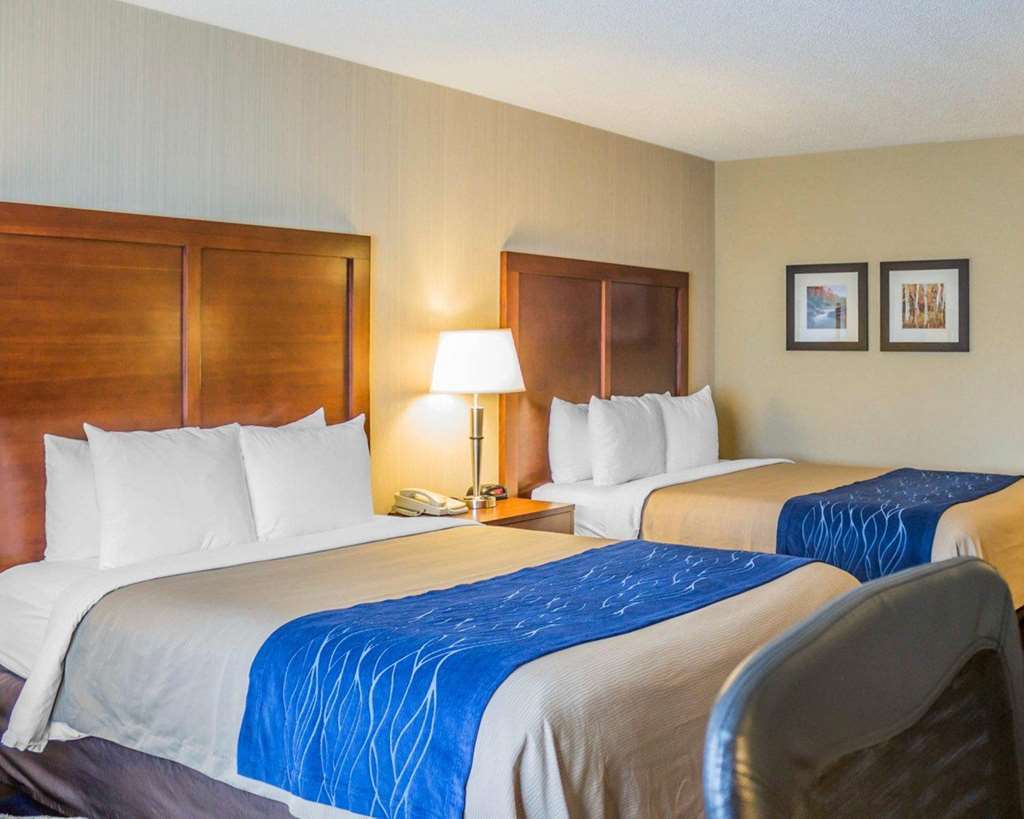 Comfort Inn Iron Mountain Quarto foto